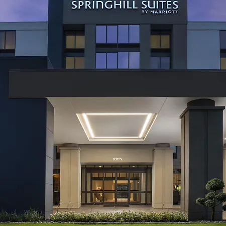 Springhill Suites By Marriott Atlanta Perimeter Center-2